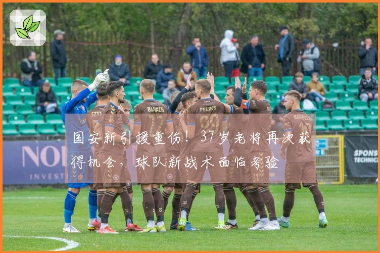 国安新引援重伤！37岁老将再次获得机会，球队新战术面临考验